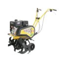 Lilli 532 TG
