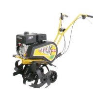 Lilli 532 TG