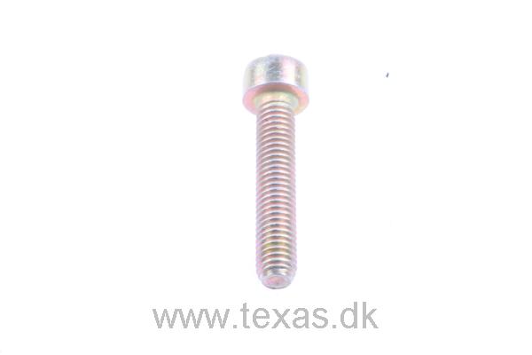 Texas Skrue med indv. 6-kt. cyl. M5x25 torx