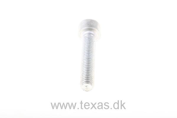 Texas Insex med cylinderhoved M5x25 FZ