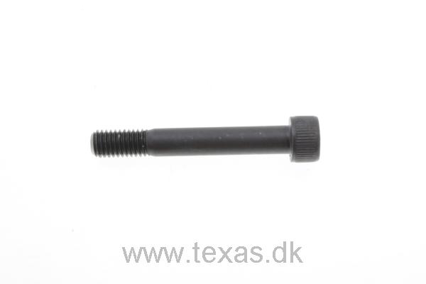 Texas bolt 12,9 bolt