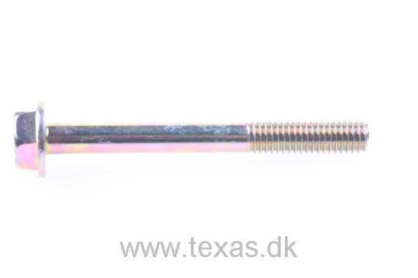 Texas Flangebolt M6x55