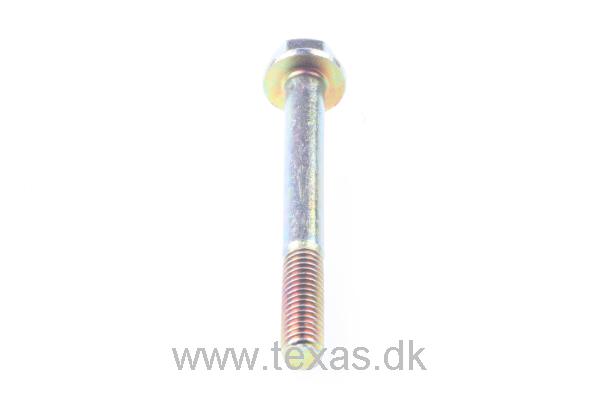 Texas Flangebolt M6x55