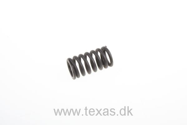 Texas Ventilfjeder inder