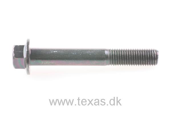 Texas Bolt M10x70