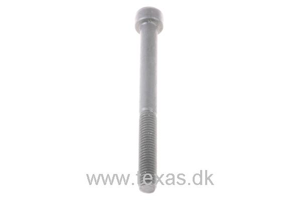 Texas Skrue med indv. 6-kt. cyl. M5x55