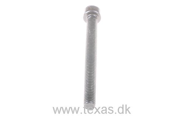 Texas Insex med cylinderhoved M6x60