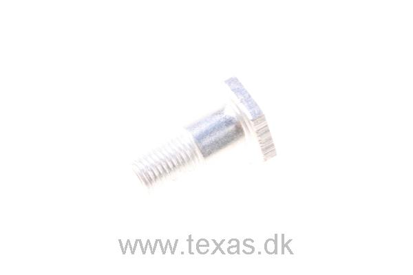 Texas Brystbolt M8x21x1 bryst 10