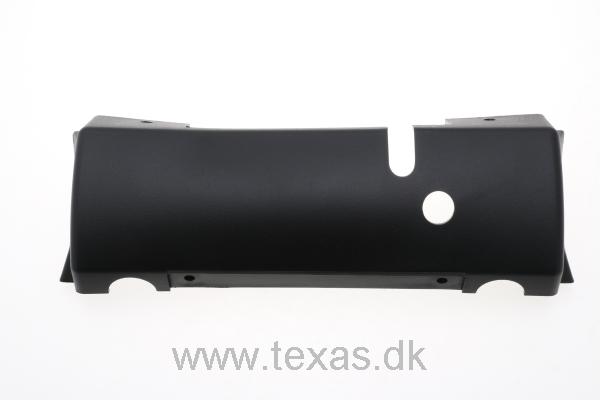 Texas Cover