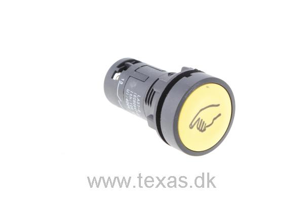 Texas Start-knap