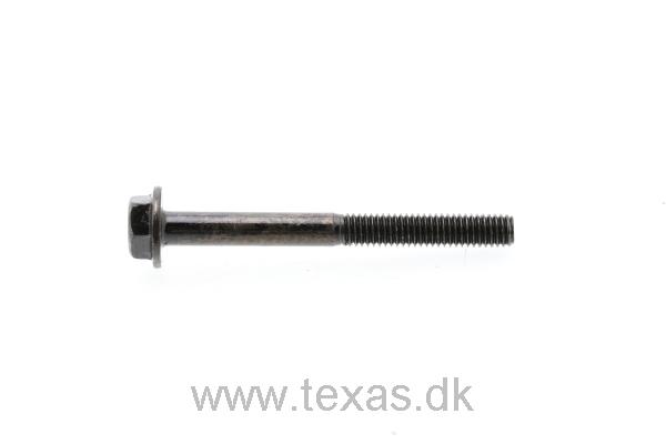 Texas Bolt M6X60