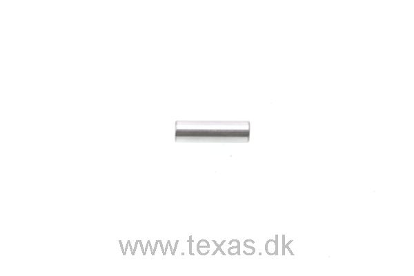 Texas Pin