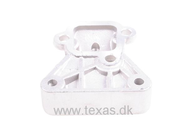 Texas Beslag