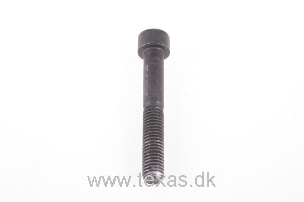 Texas Insex med cylinderhoved M8x55 FZ