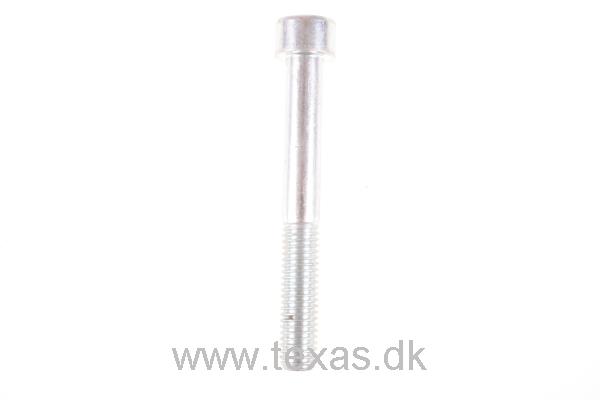 Texas Insex med cylinderhoved M8x65 FZ