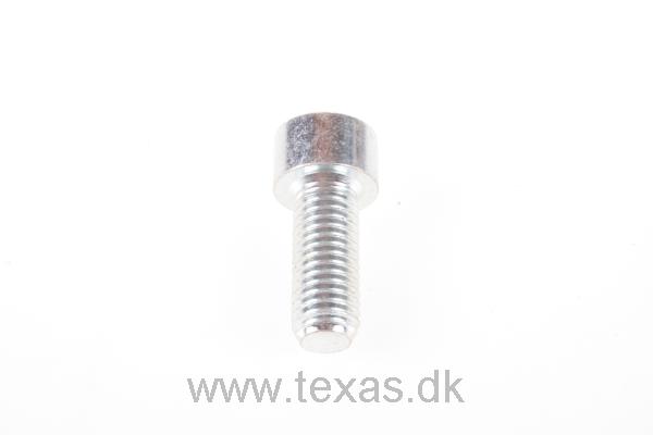Texas Insex med cylinderhoved M10x25 FZ