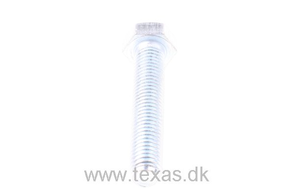 Texas Sætbolt 8.8 M10x55