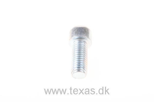 Texas Insex med cylinderhoved M8x20 FZ