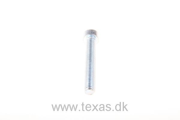Texas Insex med cylinderhoved M6x40