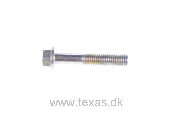 Texas Bolt flange