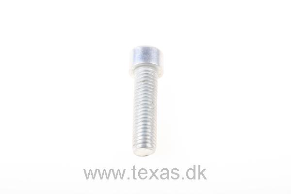 Texas Insex med cylinderhoved M8x30 FZ